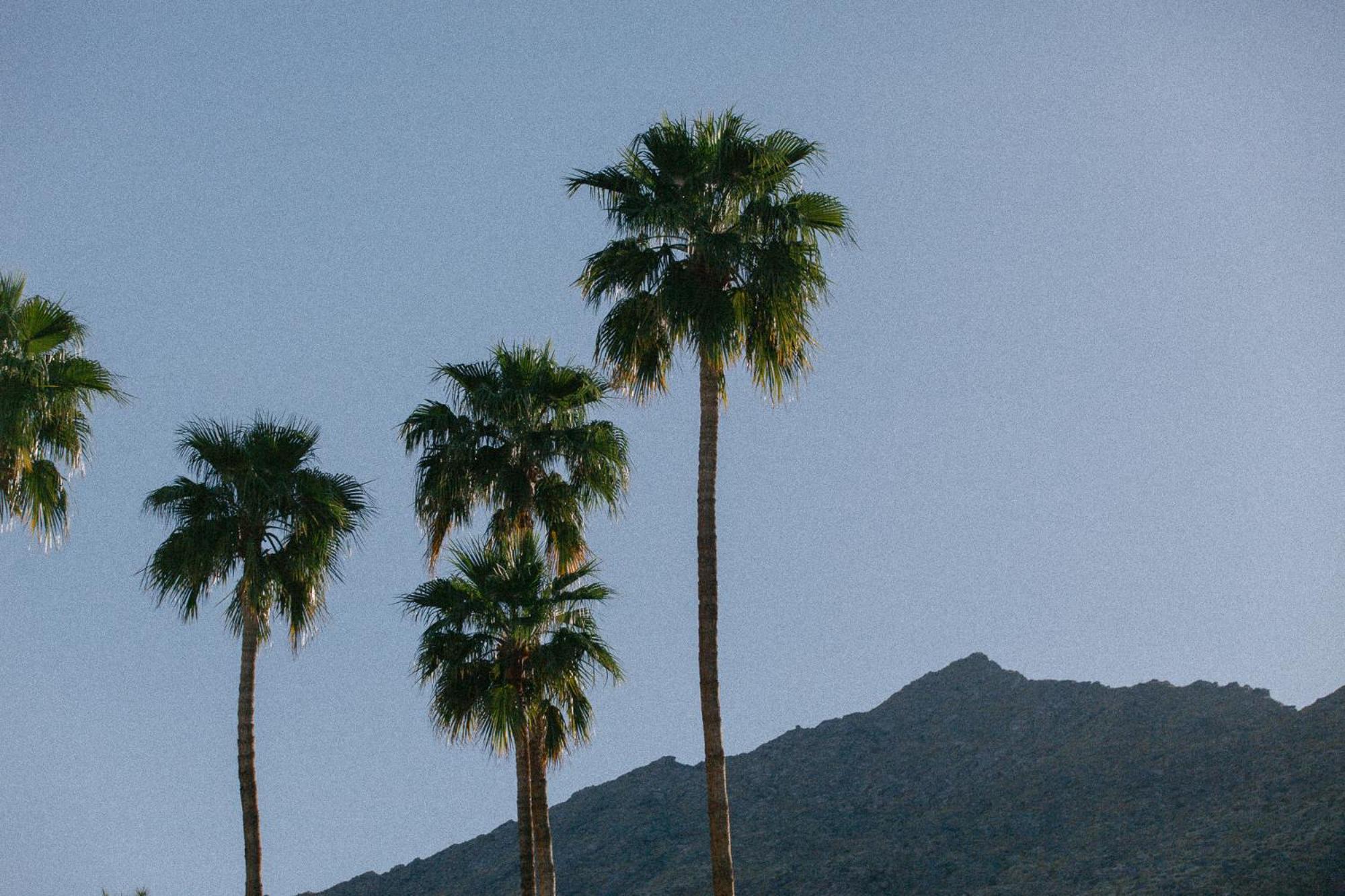 Yara Hotel - Adults Only Palm Springs Buitenkant foto